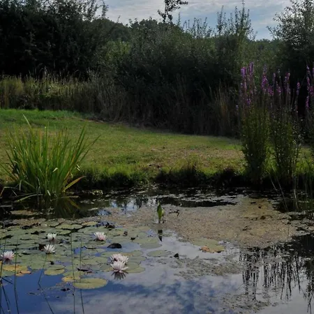 Large Overlooking The Sunny Courtyard With Fountain Ferienhaus *