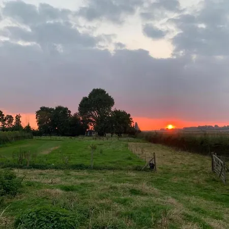 Large Overlooking The Sunny Courtyard With Fountain
