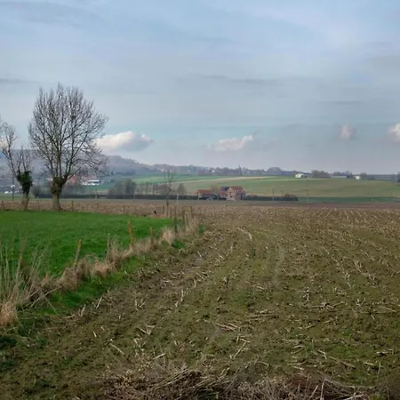 Large Overlooking The Sunny Courtyard With Fountain *