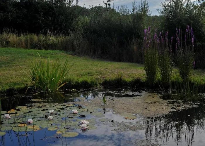 Large Overlooking The Sunny Courtyard With Fountain Holiday home *