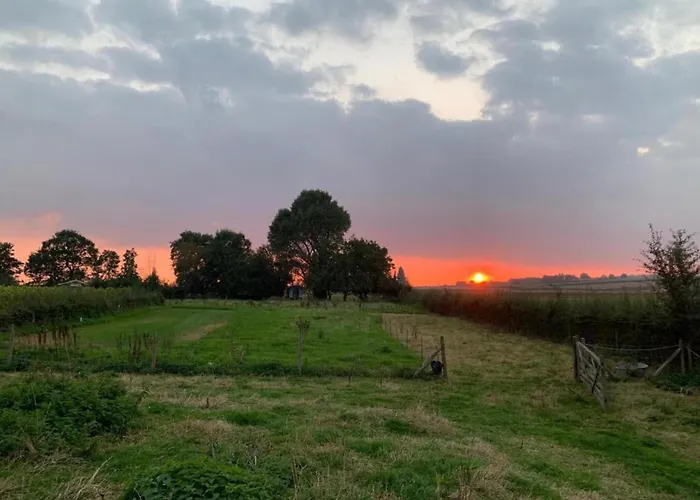 Large Overlooking The Sunny Courtyard With Fountain