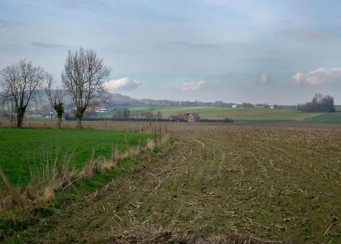 Large Overlooking The Sunny Courtyard With Fountain *